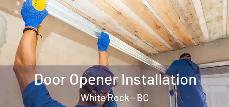  Door Opener Installation White Rock - BC