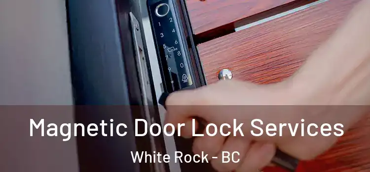  Magnetic Door Lock Services White Rock - BC