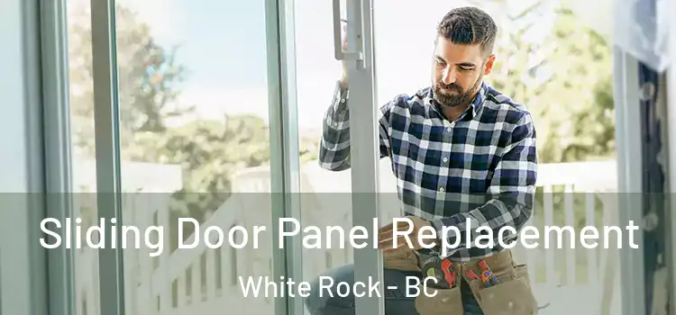  Sliding Door Panel Replacement White Rock - BC