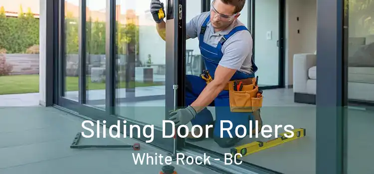  Sliding Door Rollers White Rock - BC