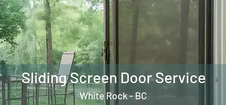 Sliding Screen Door Service White Rock - BC